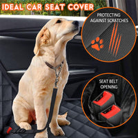 Ultimate Pet & Child Car Protector™